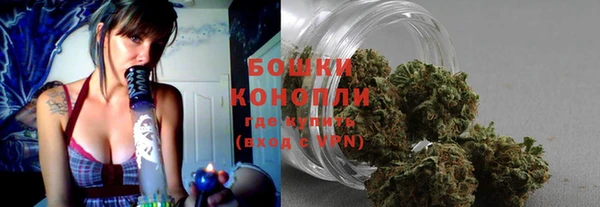 бошки Иннополис