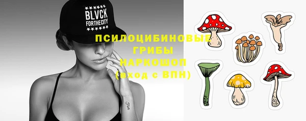 бошки Иннополис