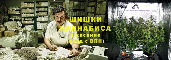 прущая мука Инсар