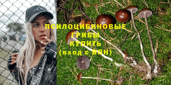 кристаллы Инта