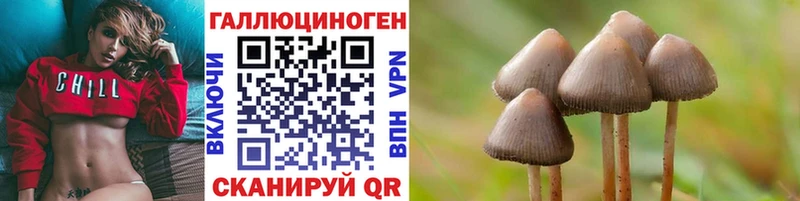 Галлюциногенные грибы Psilocybine cubensis Кяхта